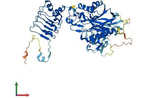 AlphaFold protein structure predicition of Human Recombinant CNOT6L Protein, UniprotID Q96LI5