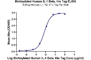 Immobilized Human IL-1R2, hFc Tag at 0.