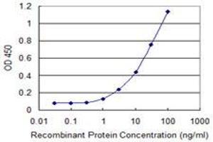 Detection limit for recombinant GST tagged FZD7 is 0. (FZD7 antibody  (AA 155-253))