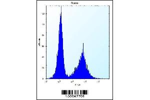 Flow cytometric analysis of Ramos cells (right histogram) compared to a negative control cell (left histogram). (NDN antibody  (N-Term))