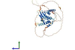 AlphaFold protein structure predicition of Mouse Recombinant Rnf25 Protein, UniprotID Q9QZR0 (RNF25 Protein (AA 1-456) (His tag))