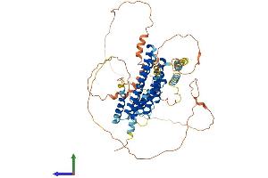 Protein Structure (PS) image for Family with Sequence Similarity 114, Member A1 (FAM114A1) (AA 1-569) protein (His tag) (ABIN7560902)