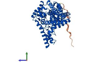 Protein Structure (PS) image for Fatty Acid Desaturase 3 (FADS3) (AA 1-449) protein (His tag) (ABIN7561584)