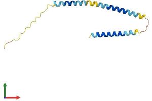 AlphaFold protein structure predicition of Mouse Recombinant Mrfap1 Protein, UniprotID Q9CQL7
