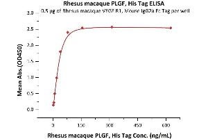 Immobilized Rhesus macaque VEGF R1, Mouse IgG2a Fc Tag, low endotoxin (ABIN5955010,ABIN6809970) at 5 μg/mL (100 μL/well) can bind Rhesus macaque PLGF, His Tag (ABIN5955014,ABIN6809969) with a linear range of 2-40 ng/mL (QC tested). (PLGF Protein (AA 19-170) (His tag))
