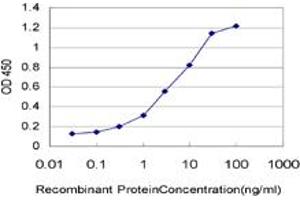 Detection limit for recombinant GST tagged IL8 is approximately 0. (IL-8 antibody  (AA 21-99))