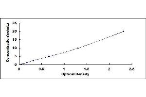 Typical standard curve (CACNG6 ELISA Kit)