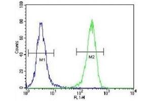 AQP11 antibody flow cytometric analysis of 293 cells (green) compared to a negative control (blue). (AQP11 antibody  (AA 244-271))