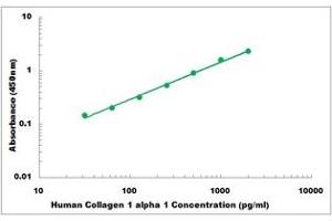 Representative Standard Curve (COL1A1 ELISA Kit)