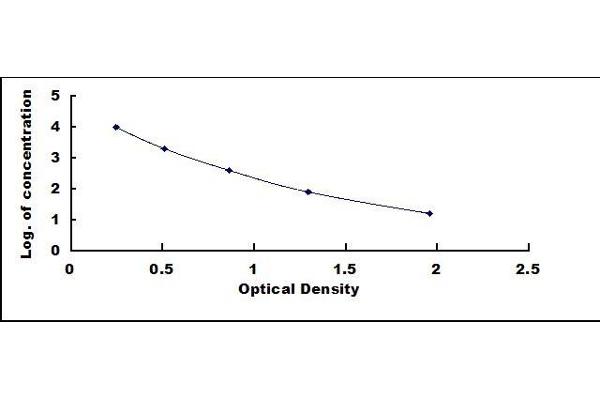 Neurogranin ELISA Kit