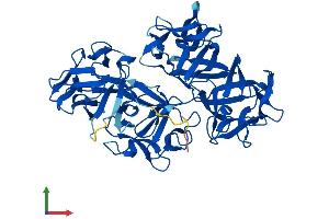 AlphaFold protein structure predicition of Mouse Recombinant Fscn2 Protein, UniprotID Q32M02 (Fascin 2 Protein (FSCN2) (AA 1-492) (His tag))