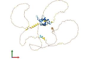 AlphaFold protein structure predicition of Human Recombinant FOXA2 Protein, UniprotID Q9Y261 (FOXA2 Protein (AA 1-457) (His tag))