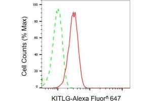 Flow cytometric analysis of KITLG expression in C2C12 cells using KITLG antibody (ABIN7799212), 1:2,000).