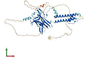 AlphaFold protein structure predicition of Human Recombinant KCNJ3 Protein, UniprotID P48549