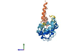 AlphaFold protein structure predicition of Mouse Recombinant Kcnip4 Protein, UniprotID Q6PHZ8