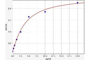 Typical standard curve (K-RAS ELISA Kit)