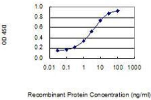 Detection limit for recombinant GST tagged MYOG is 0. (Myogenin antibody  (AA 1-224))
