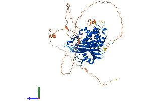 Protein Structure (PS) image for Ubiquitin Specific Peptidase 21 (USP21) (AA 1-565) protein (His tag) (ABIN7555939)