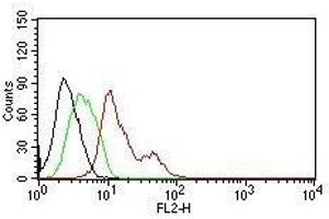 Flow Cytometry for human ER-alpha on MCF-7 cells. (Estrogen Receptor alpha antibody  (AA 2-185))