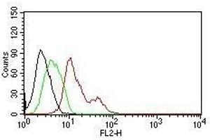 Flow Cytometry for human ER-alpha on MCF-7 cells.