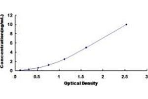 ELISA image for Natriuretic Peptide Receptor B/guanylate Cyclase B (Atrionatriuretic Peptide Receptor B) (NPR2) ELISA Kit (ABIN6958042)