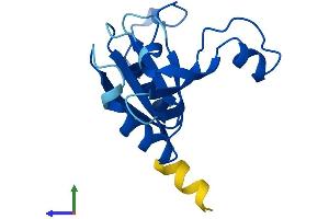 Protein Structure (PS) image for UFM1-Specific Peptidase 1 (Non-Functional) (UFSP1) (AA 1-142) protein (His tag) (ABIN7544926)