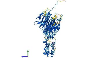 AlphaFold protein structure predicition of Mouse Recombinant Klhl30 Protein, UniprotID Q8C3F7