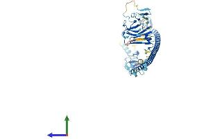 Protein Structure (PS) image for TRIM17 / RNF16 (TRIM17) (AA 1-477) protein (His tag) (ABIN7544744)