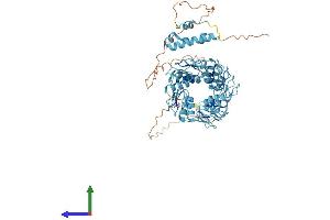AlphaFold protein structure predicition of Human Recombinant ZNF471 Protein, UniprotID Q9BX82