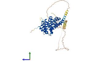 AlphaFold protein structure predicition of Human Recombinant RRP1 Protein, UniprotID P56182