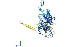 Protein Structure (PS) image for NRBP2 (NRBP2) (AA 1-501) protein (His tag) (ABIN7549938)