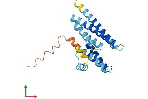 AlphaFold protein structure predicition of Mouse Recombinant Lzic Protein, UniprotID Q8K3C3