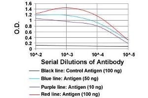ELISA analysis of TIE1 monoclonal antibody, clone 8D12D2  at 1:10000 dilution. (TIE1 antibody  (AA 385-607))