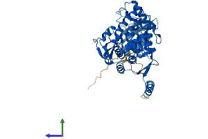 Protein Structure (PS) image for Tryptophan Hydroxylase 1 (TPH1) (AA 1-444) protein (His tag) (ABIN7544618)