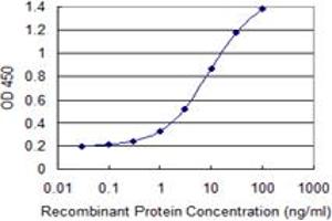 Detection limit for recombinant GST tagged CUL4A is 0. (Cullin 4A antibody  (AA 1-100))