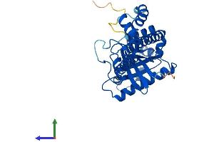 AlphaFold protein structure predicition of Human Recombinant GIMAP7 Protein, UniprotID Q8NHV1 (GIMAP7 Protein (AA 1-300) (His tag))