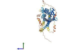 AlphaFold protein structure predicition of Mouse Recombinant Rxfp3 Protein, UniprotID Q8BGE9