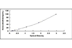 Typical standard curve (UGT1A1 ELISA Kit)