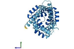 Protein Structure (PS) image for Solute Carrier Family 25, Member 35 (SLC25A35) (AA 1-300) protein (His tag) (ABIN7545939)
