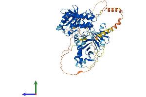 Protein Structure (PS) image for Polo-Like Kinase 2 (PLK2) (AA 1-685) protein (His tag) (ABIN7554948)