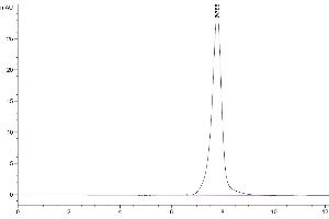 Size-exclusion chromatography-High Pressure Liquid Chromatography (SEC-HPLC) image for Beta-secretase 1 (BACE1) (AA 22-457) protein (Fc Tag) (ABIN7273905)