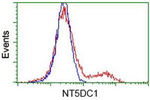 HEK293T cells transfected with either RC211087 overexpress plasmid (Red) or empty vector control plasmid (Blue) were immunostained by anti-NT5DC1 antibody (ABIN2453857), and then analyzed by flow cytometry. (NT5DC1 antibody)