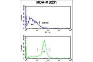 Flow cytometry analysis of MDA-MB231 cells (bottom histogram) compared to a negative control cell (top histogram). (ALDH2 antibody)