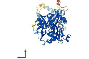 Protein Structure (PS) image for Nudix (Nucleoside Diphosphate Linked Moiety X)-Type Motif 12 (NUDT12) (AA 1-462) protein (His tag) (ABIN7550196)