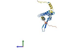 AlphaFold protein structure predicition of Human Recombinant TVP23A Protein, UniprotID A6NH52 (TVP23A Protein (AA 1-213) (His tag))