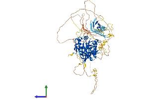 AlphaFold protein structure predicition of Mouse Recombinant Pacs2 Protein, UniprotID Q3V3Q7