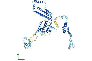 Protein Structure (PS) image for Splicing Factor 3a, Subunit 3, 60kDa (SF3A3) (AA 1-501) protein (His tag) (ABIN7545974)