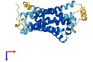 AlphaFold protein structure predicition of Mouse Recombinant Mrgpra3 Protein, UniprotID Q91WW3 (Mrgpra3 Protein (AA 1-302) (His tag))