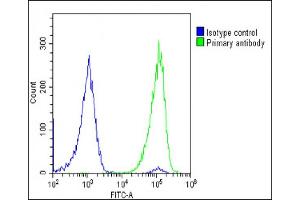 Overlay histogram showing U-2 OS cells stained with (ABIN6242373 and ABIN6578888)(green line). (Glutathione Peroxidase 7 antibody  (AA 73-107))