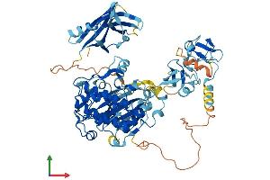 AlphaFold protein structure predicition of Mouse Recombinant Prkcd Protein, UniprotID P28867 (PKC delta Protein (AA 1-674) (His tag))